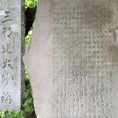 投稿日:2016年5月17日 写真