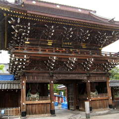 投稿日:2024年5月1日 写真