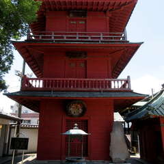 投稿日:2025年7月27日 写真