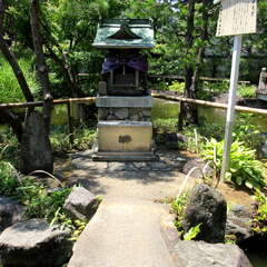 投稿日:2025年7月27日 写真