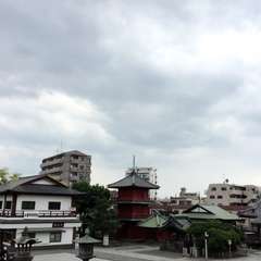 投稿日:2016年5月19日 写真