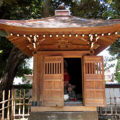 投稿日:2025年7月27日 写真