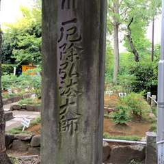 投稿日:2016年5月17日 写真