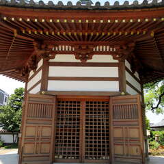 投稿日:2025年7月27日 写真