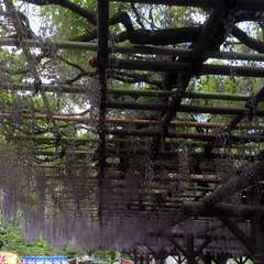 投稿日:2016年5月1日 写真