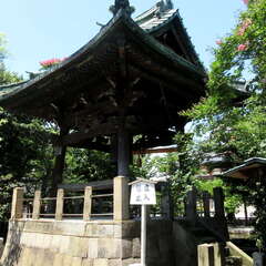 投稿日:2025年7月27日 写真