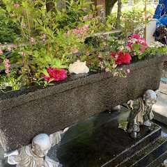 投稿日:2022年5月3日 写真