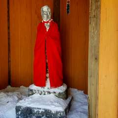 投稿日:2019年11月15日 写真