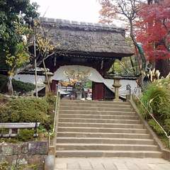 投稿日:2016年10月22日 写真