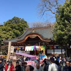 投稿日:2018年3月4日 写真