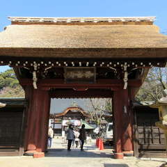 投稿日:2023年2月19日 写真