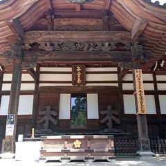 投稿日:2019年3月17日 写真