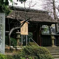 投稿日:2019年3月26日 写真