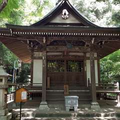 投稿日:2019年11月15日 写真