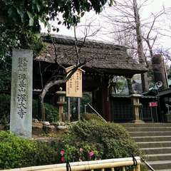 投稿日:2019年3月25日 写真