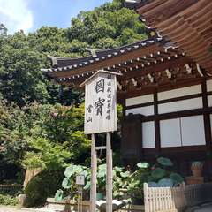 投稿日:2019年11月15日 写真