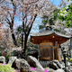 東雲寺