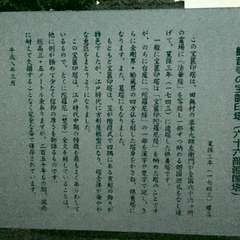 投稿日:2016年7月22日 写真