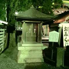 投稿日:2016年7月22日 写真