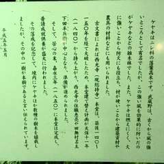 投稿日:2016年7月21日 写真