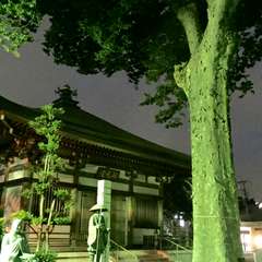 投稿日:2016年7月21日 写真