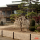 光明山 如意輪寺