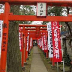 投稿日:2021年2月4日 写真