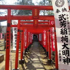 投稿日:2022年10月2日 写真