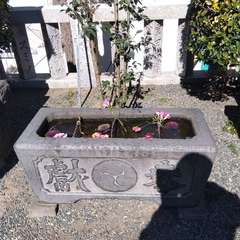 投稿日:2023年3月20日 写真