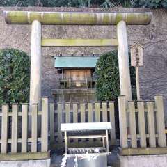 投稿日:2023年3月20日 写真