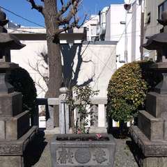 投稿日:2023年3月20日 写真