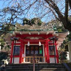 投稿日:2020年3月20日 写真