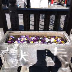 投稿日:2023年3月20日 写真