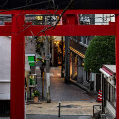 投稿日:2020年11月19日 写真