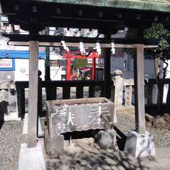 投稿日:2023年3月20日 写真