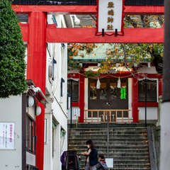 投稿日:2020年11月19日 写真