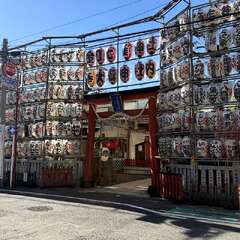 金刀比羅大鷲神社(投稿日:2025年11月22日) 写真