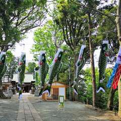 投稿日:2020年5月3日 写真