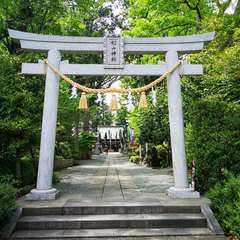 投稿日:2020年5月3日 写真