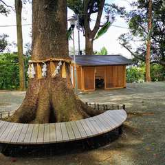 投稿日:2020年5月3日 写真