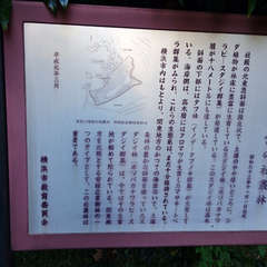 投稿日:2018年4月10日 写真