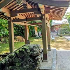 投稿日:2020年5月5日 写真