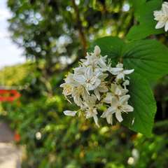 投稿日:2020年5月5日 写真