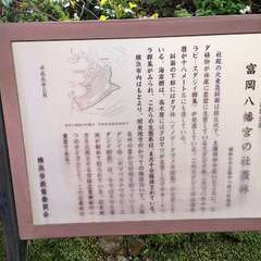 投稿日:2020年5月5日 写真