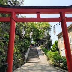 投稿日:2020年5月5日 写真