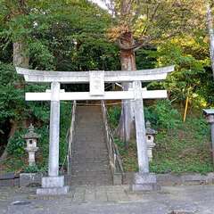 大曽根八幡神社(投稿日:2025年11月4日) 写真