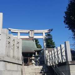 写真