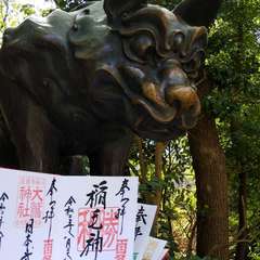 投稿日:2020年8月29日 写真