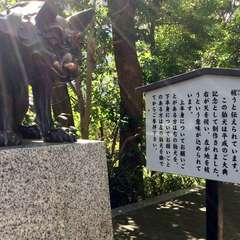 投稿日:2019年3月13日 写真