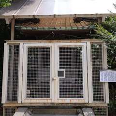 投稿日:2022年10月18日 写真